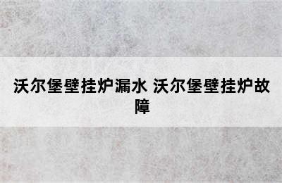 沃尔堡壁挂炉漏水 沃尔堡壁挂炉故障